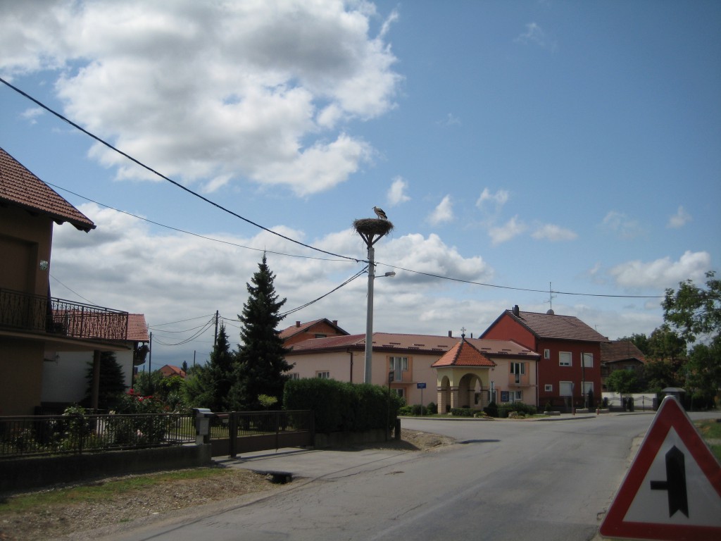 Stork nest in Lukavec
