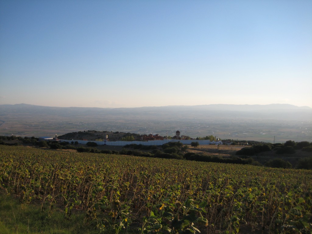 Early morning on the plain